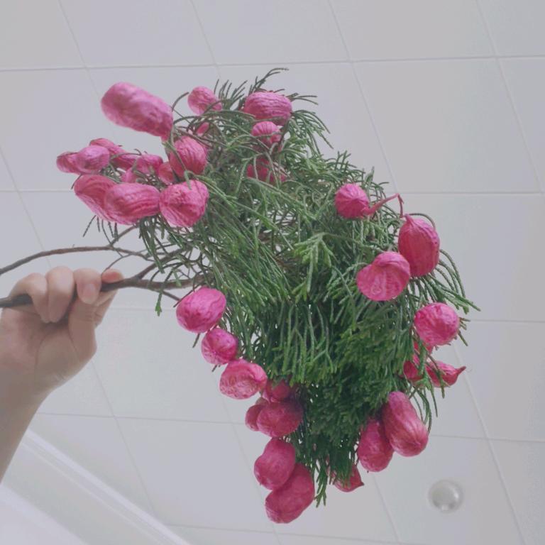 💖里有你😘😘😘