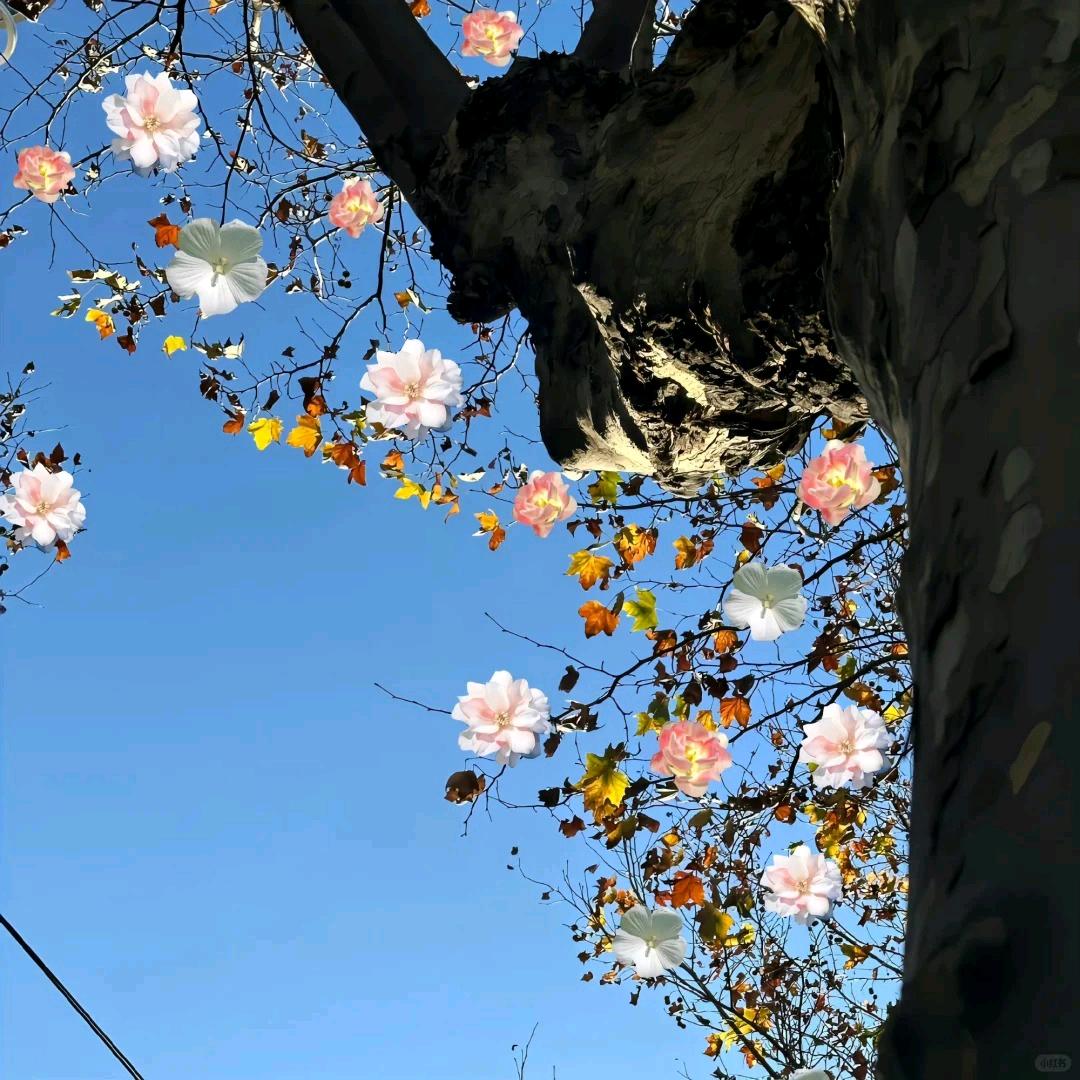 优派甄选好品