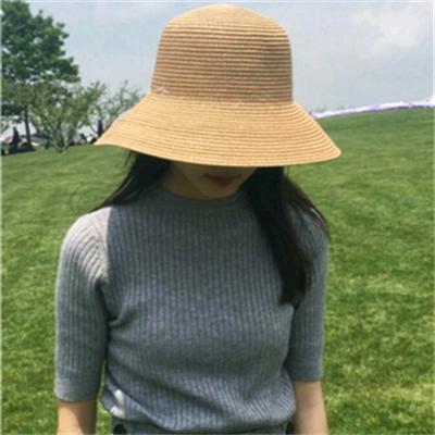 pvc燕子