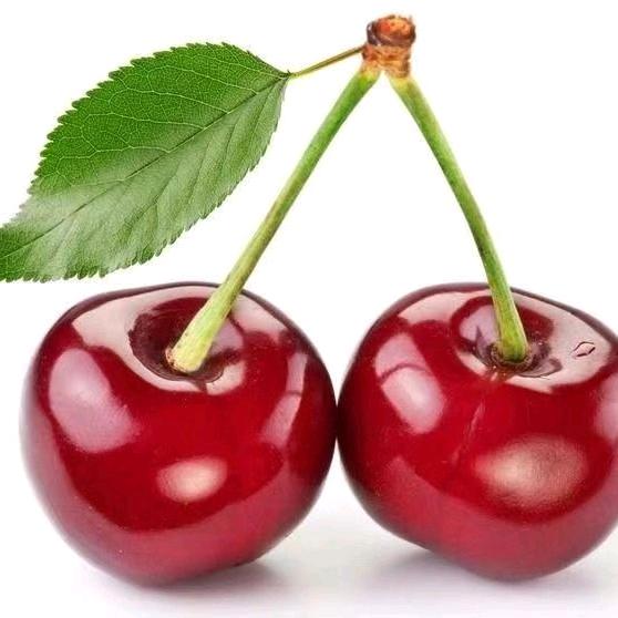 🌞阳光普赵🌞