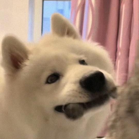 南卿懿浔