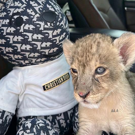 不要跟我哇哇叫-