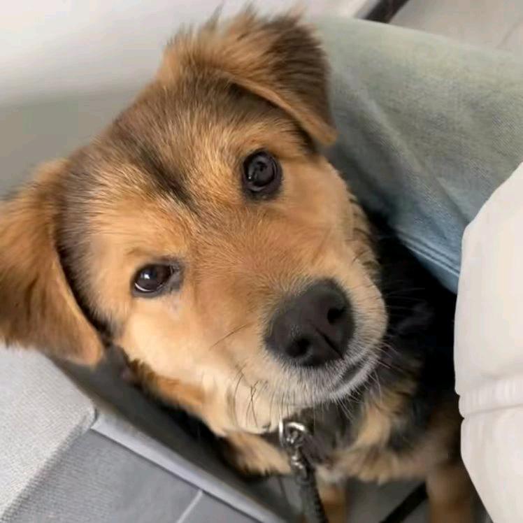 ㅤㅤㅤㅤㅤㅤㅤㅤ.