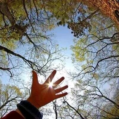 孤者何惧🌻@@💰……拒绝连赞