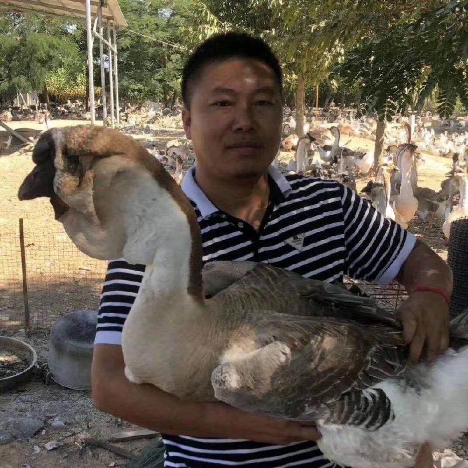 凯里市阿天养殖场