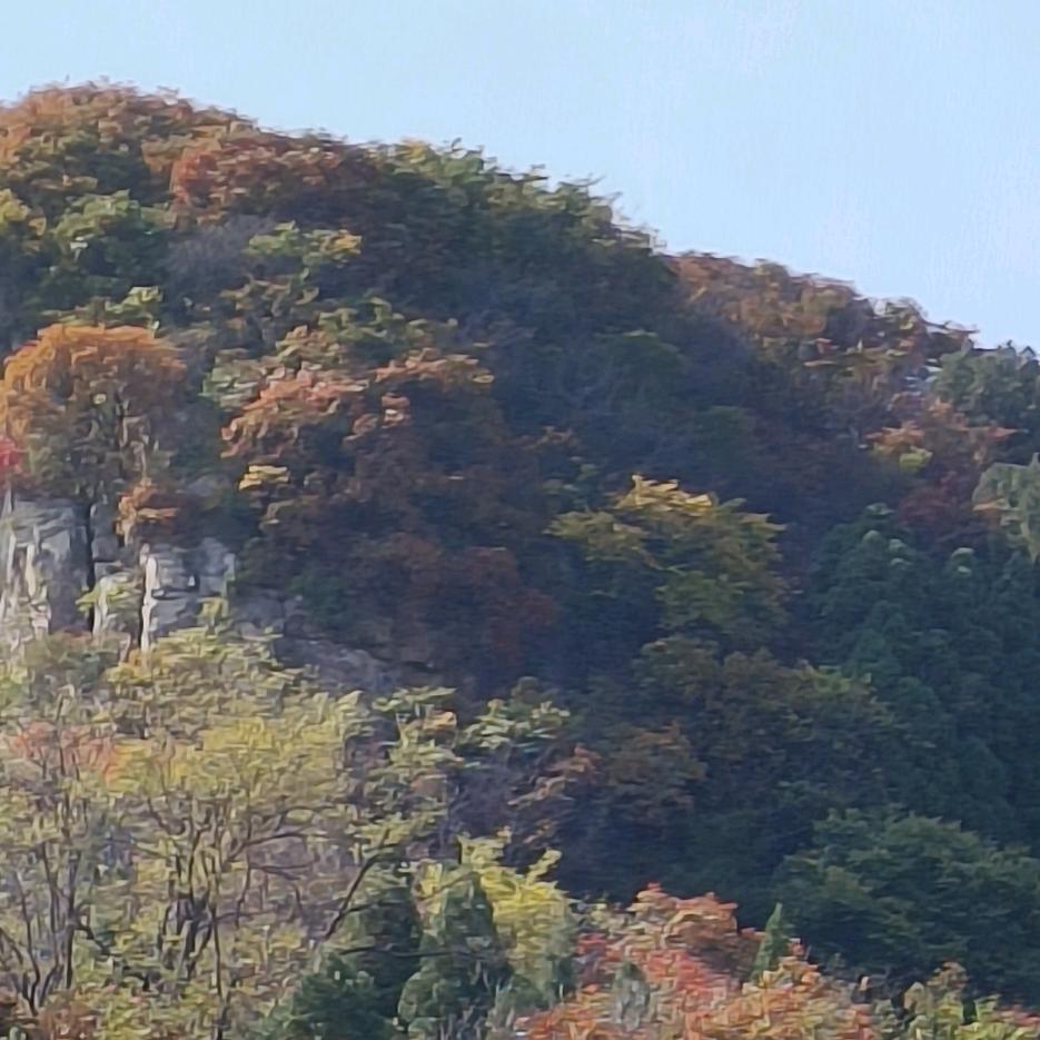 山里人家