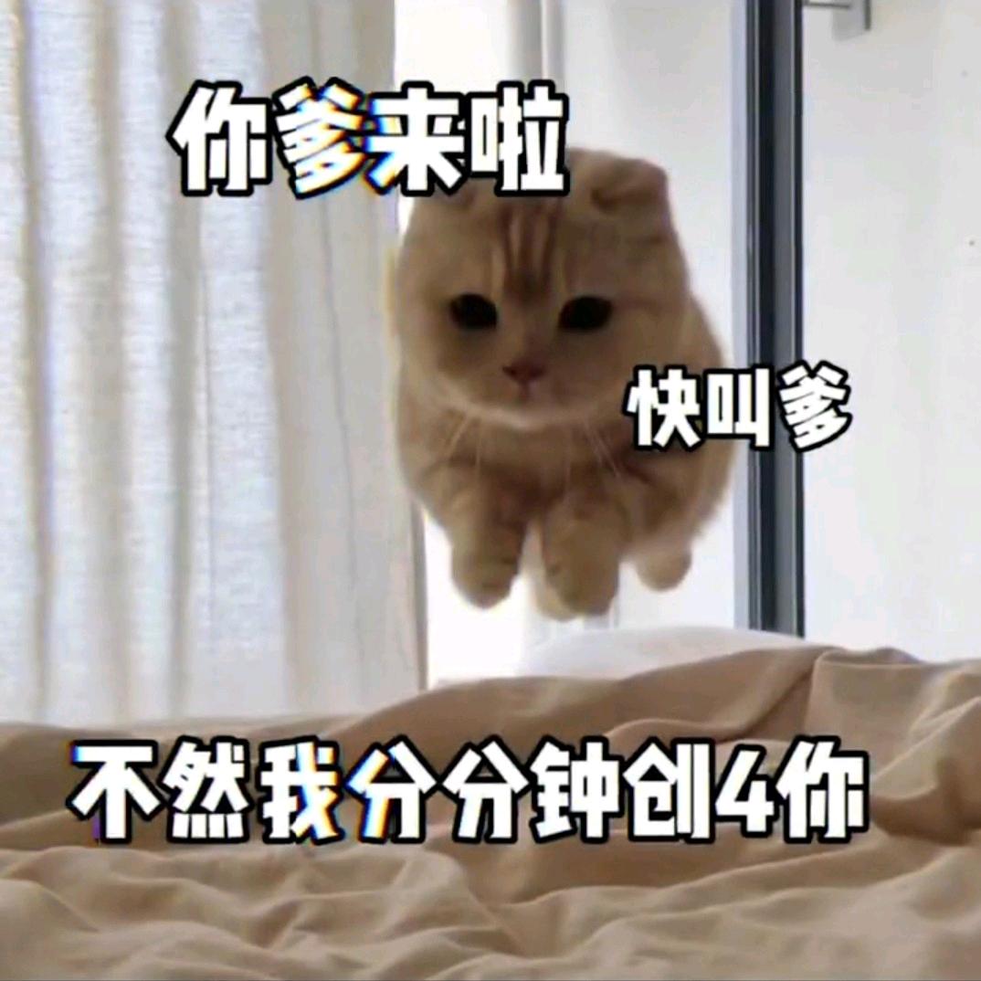 失一