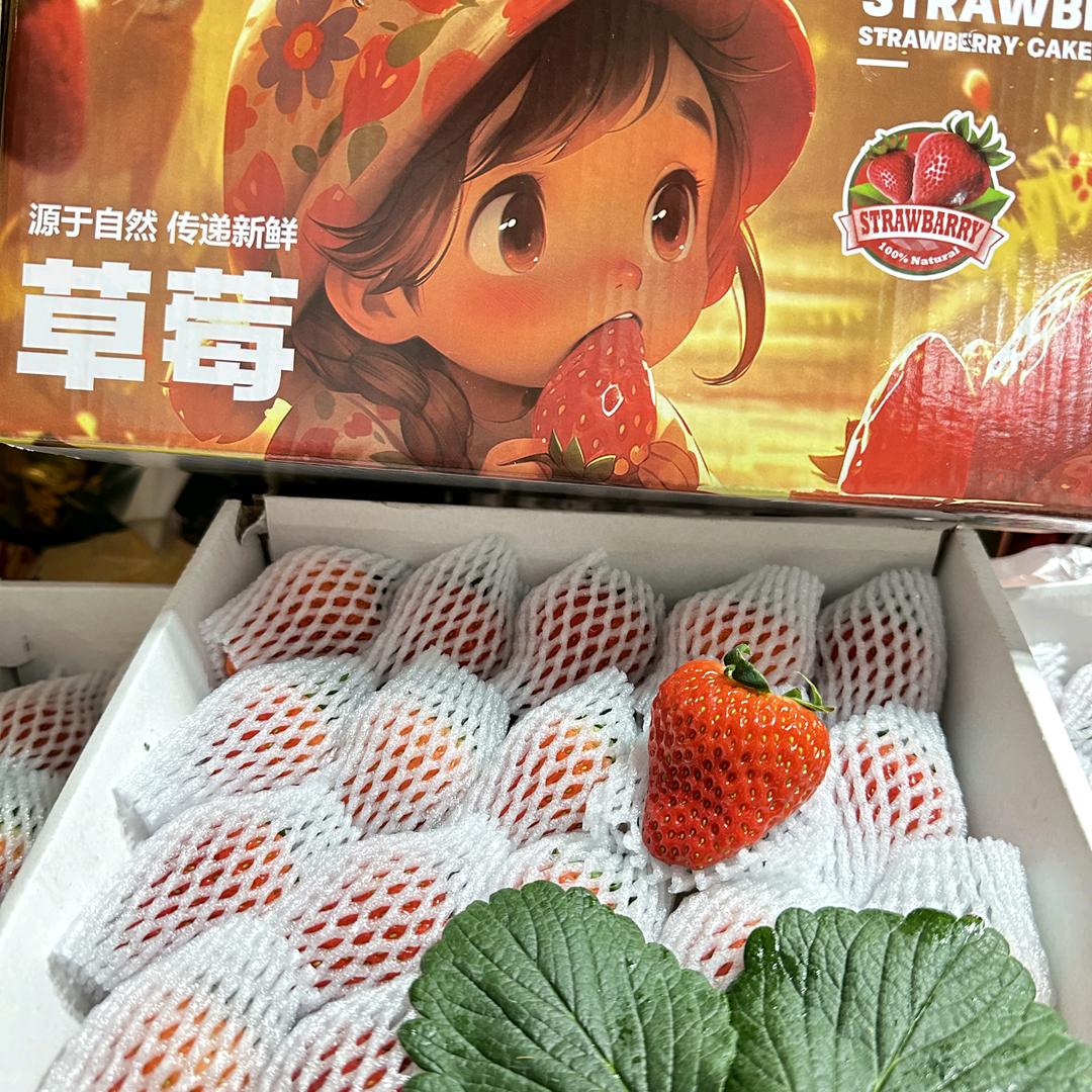 鲜果田源孙同学