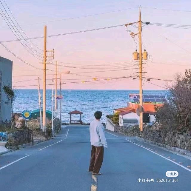 看了四十四次日落