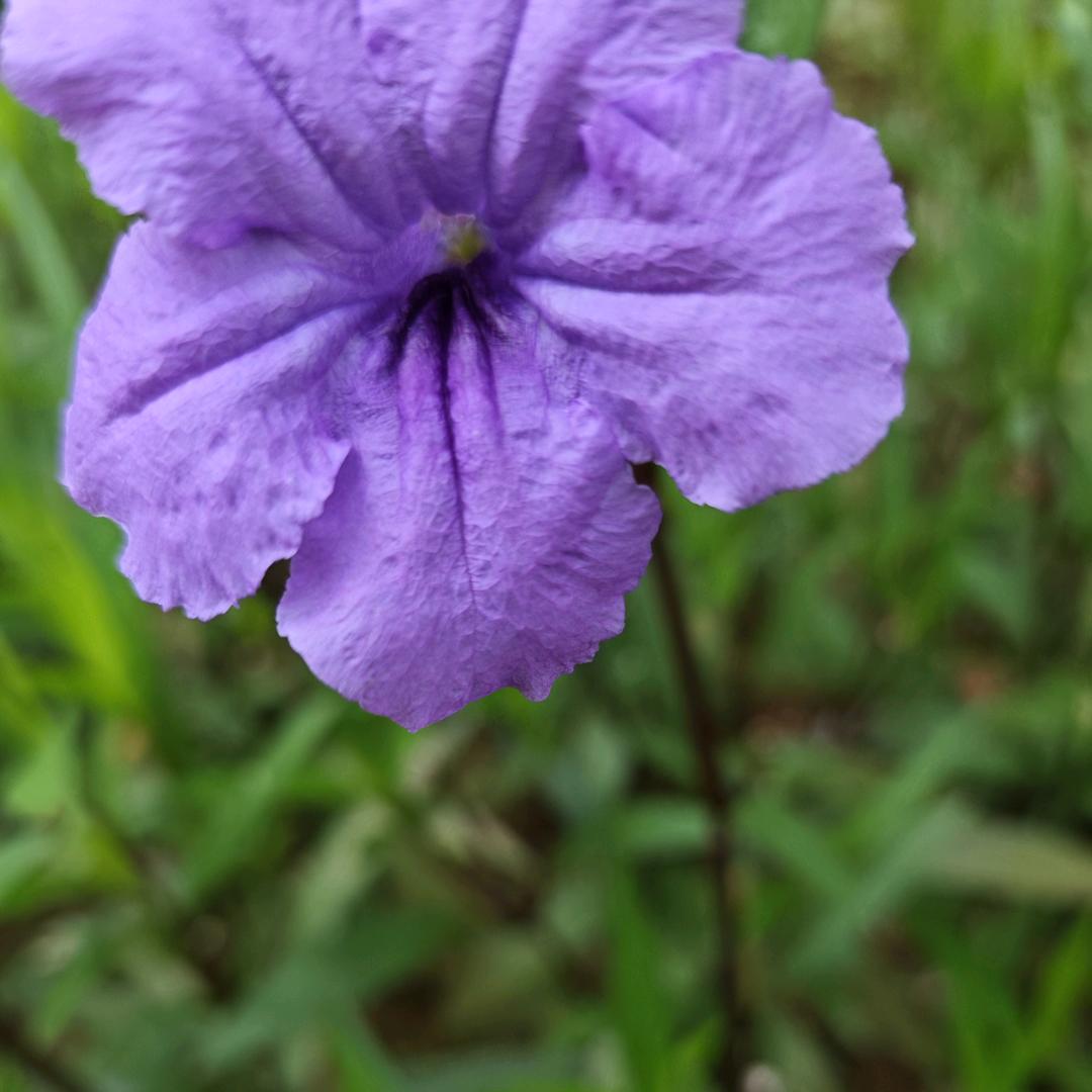 好物优选