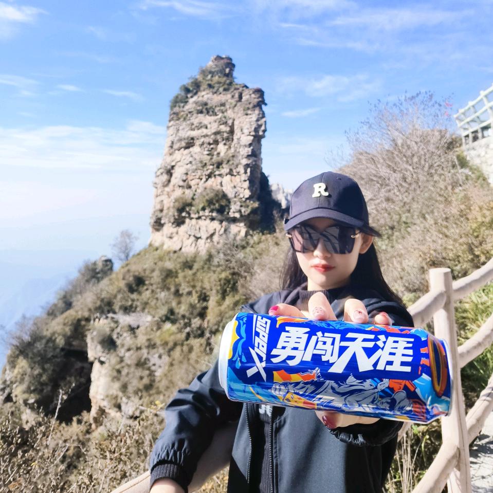 钮钴禄·小张