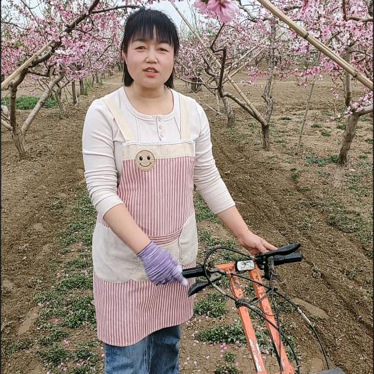 小哲的农村生活