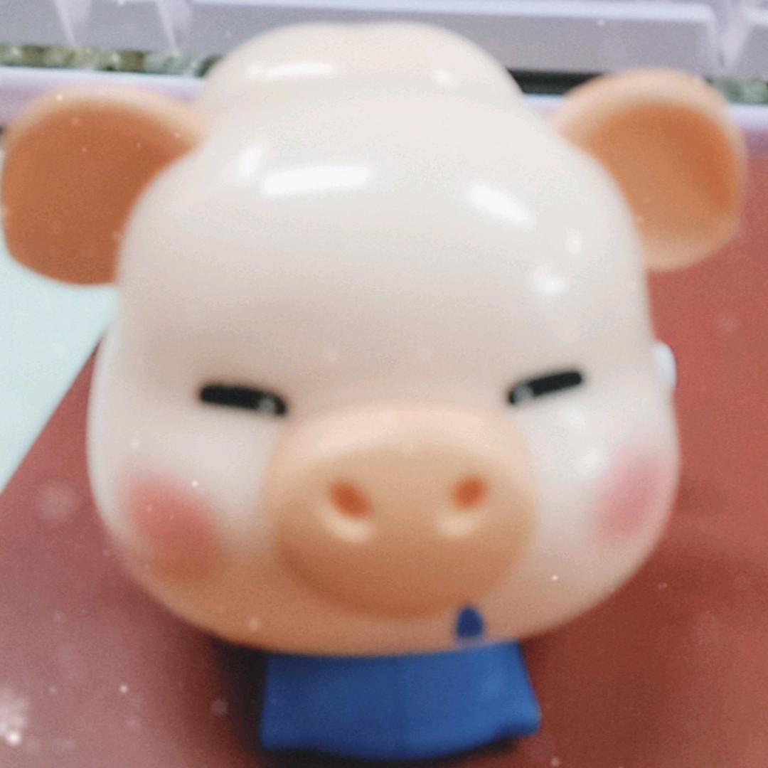 小福猪🐷