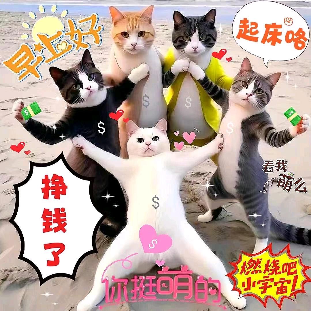 皆尽