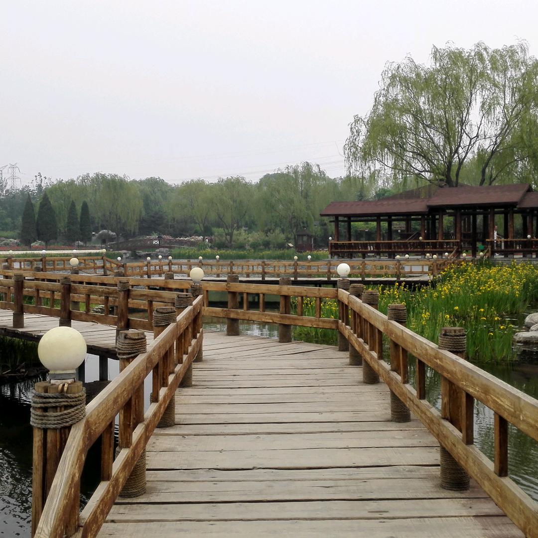 yange