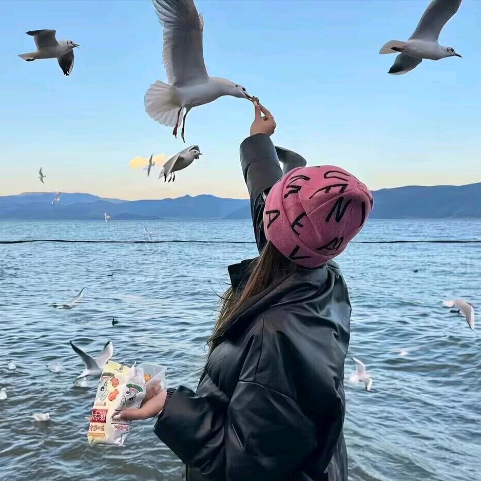 兰微