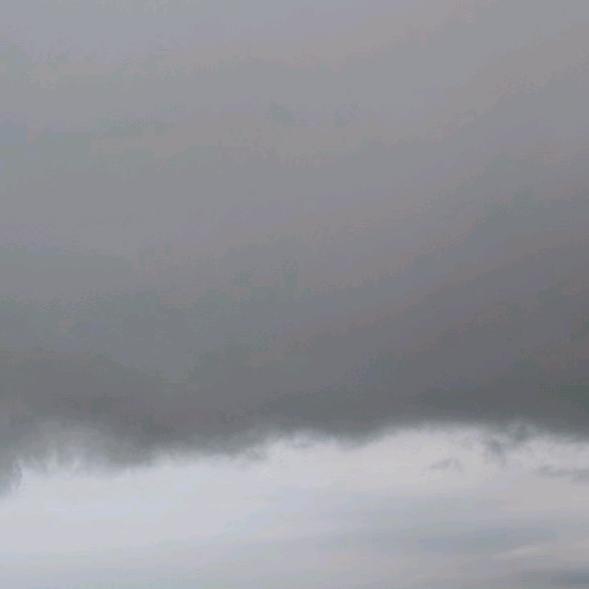 天门最后一个老实人