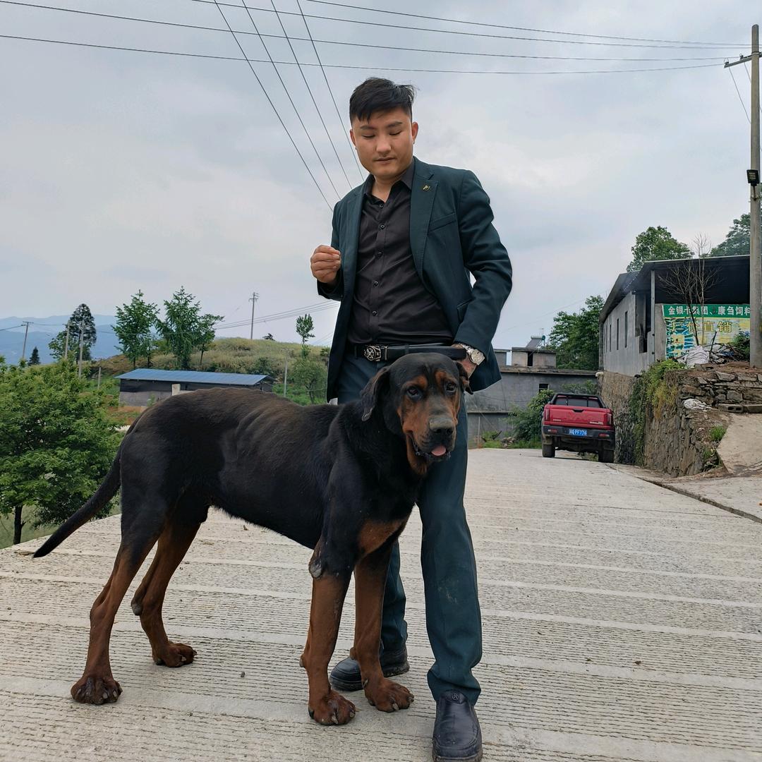 宜宾牛门！达哥  朋友圈