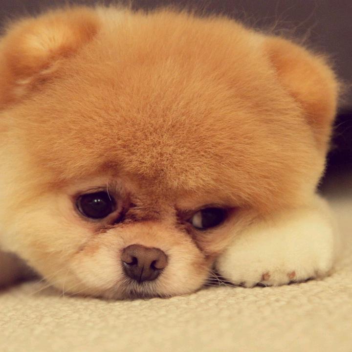 道友🙄请留步🤭