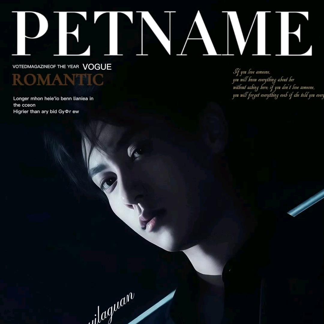 暴富的元宝（码字机器）