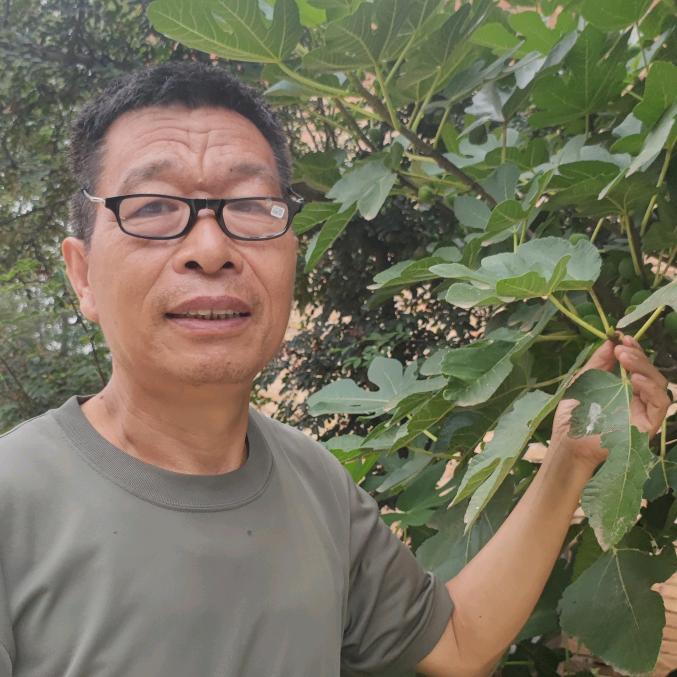 老马认百草