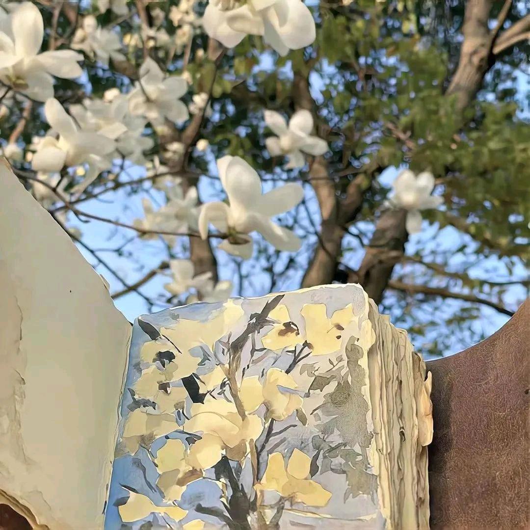 谁看见过我的手链