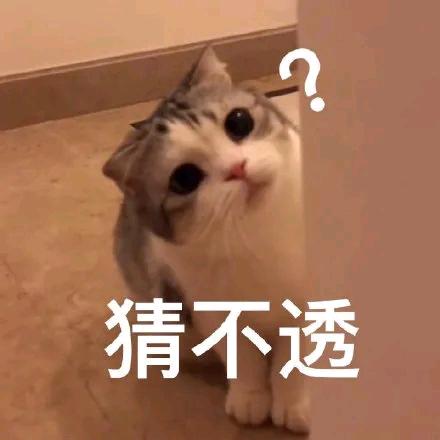 无聊也不聊