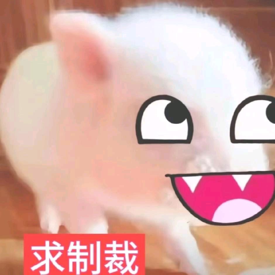 小程子