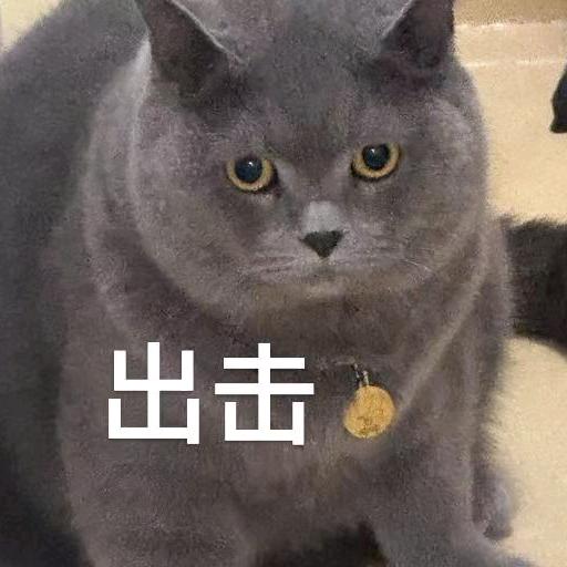 炒鸡胸（梦幻西游手游）