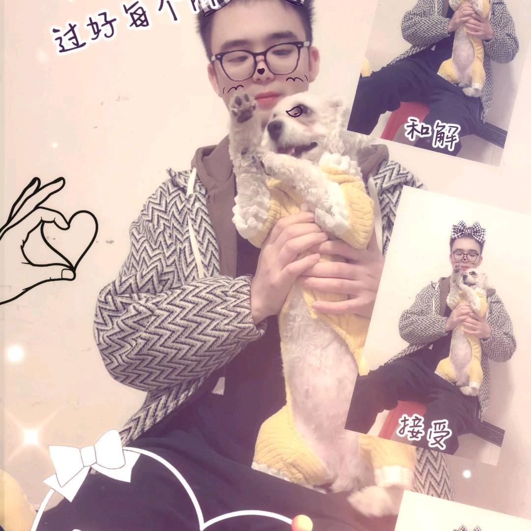 上善若水—分享比熊如意的生活日常