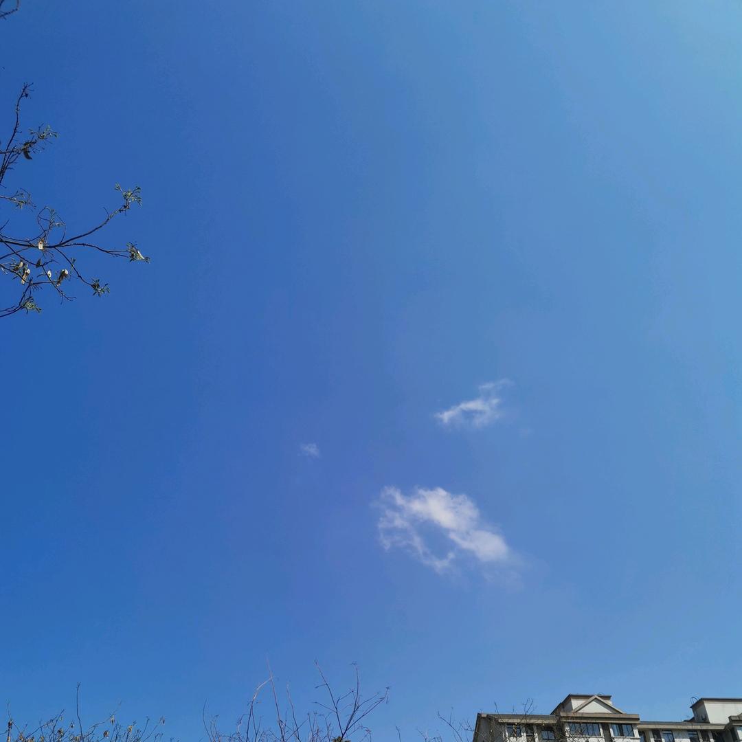 概率