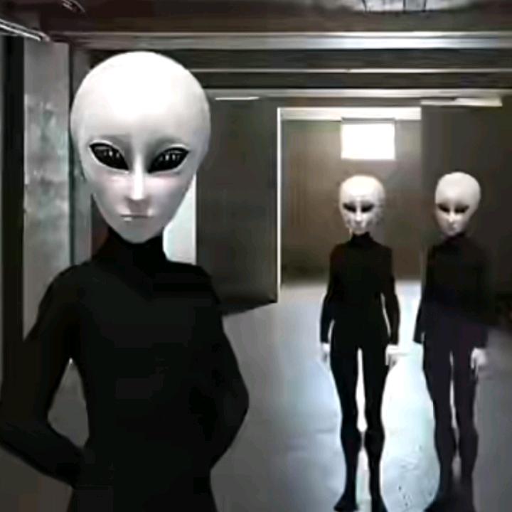 Zeta Serpo（泽塔人之声）