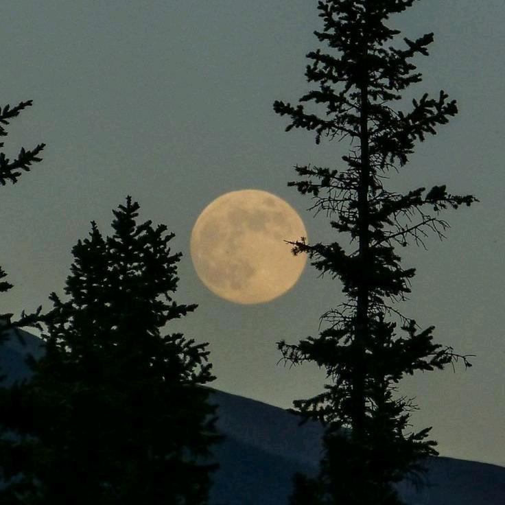 第叁拾捌年夏至