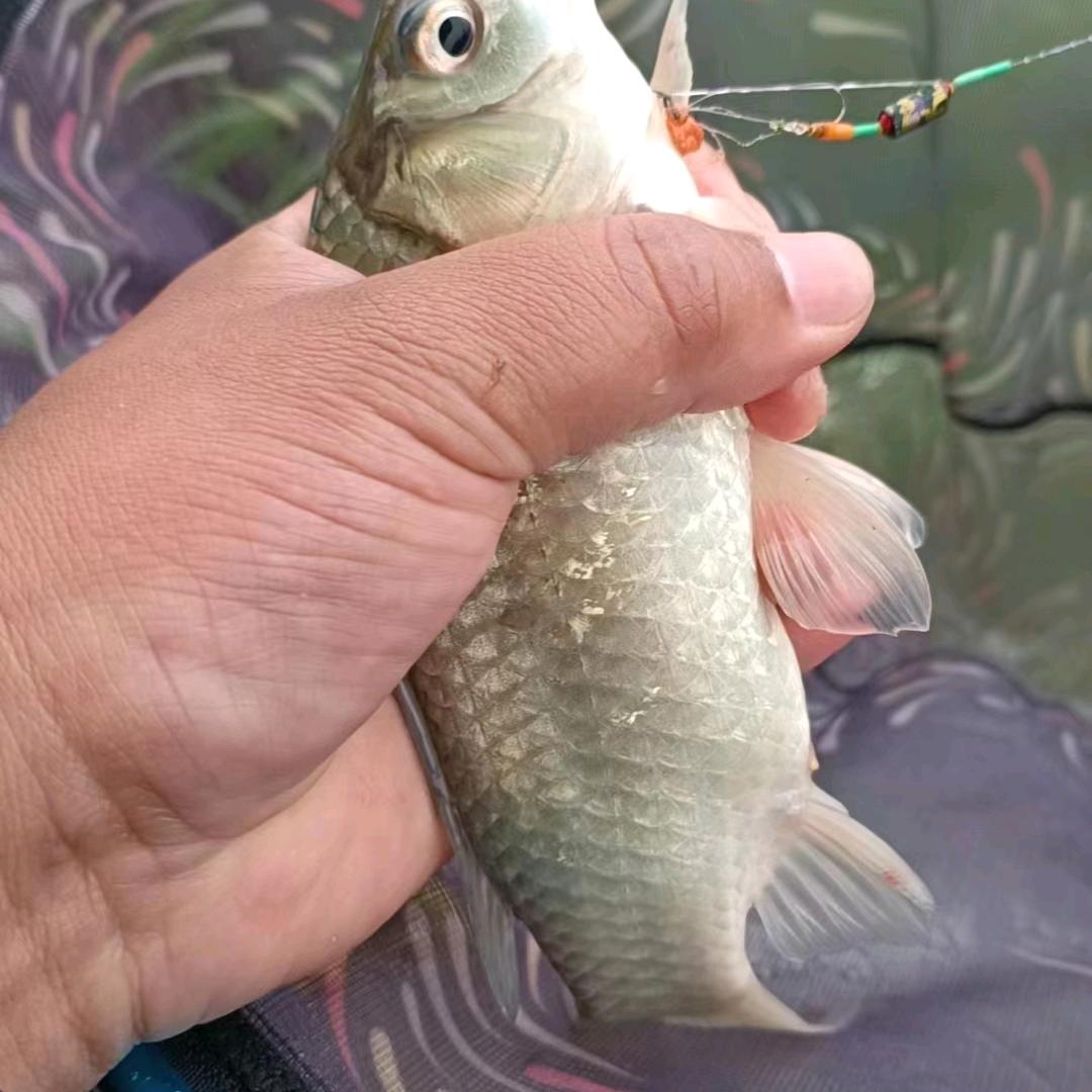 远方在天边那里