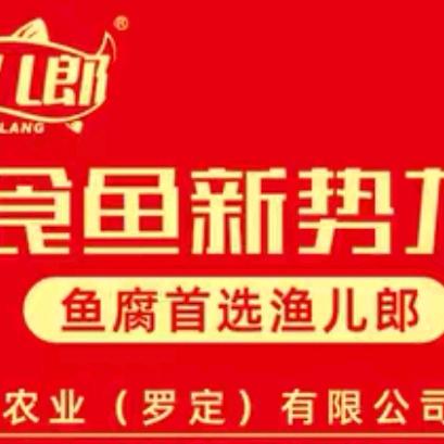 罗定恒鲜(渔儿郎鱼腐)