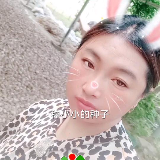 ꕥ᭄杨，💞，耿࿐