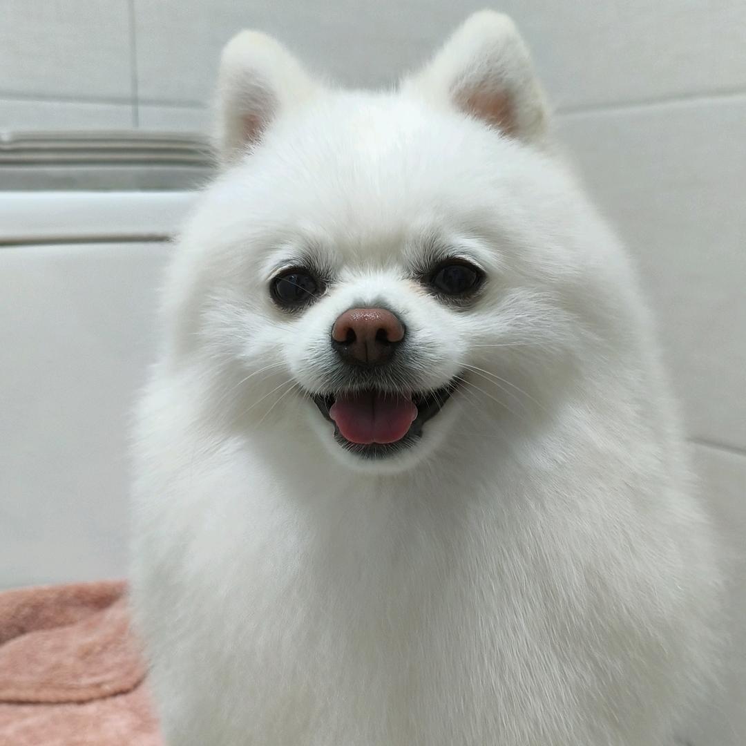 青青