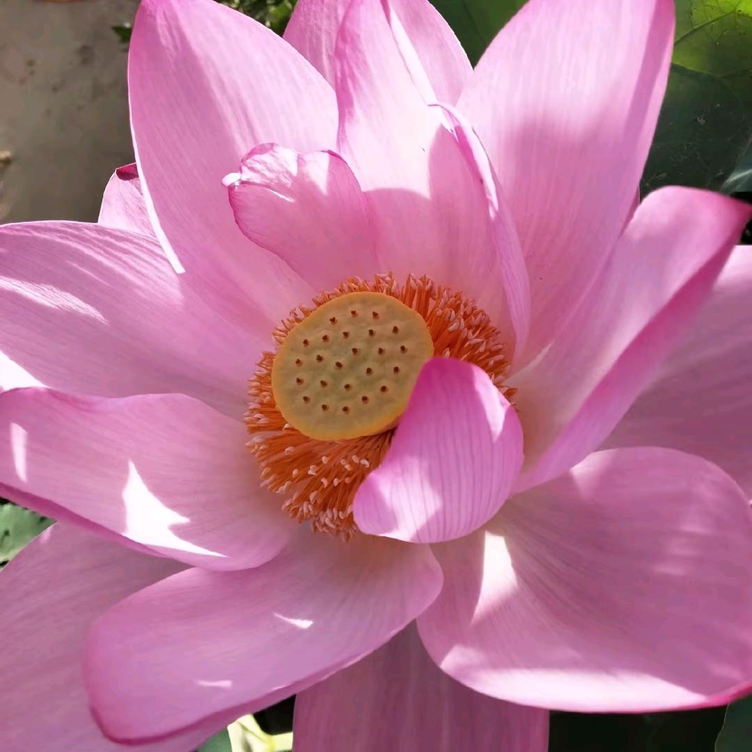 轻描淡写小悠闲