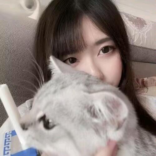 凤舞天涯🎙️