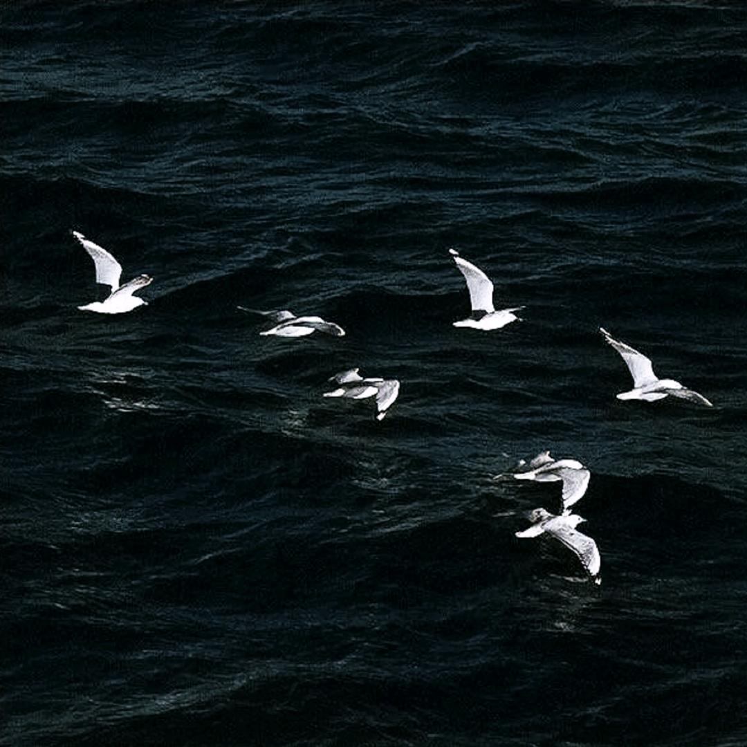 扉要这样