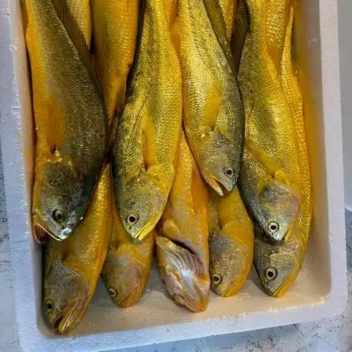 寒山子南北博弈