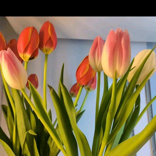 明天更好，一切随缘