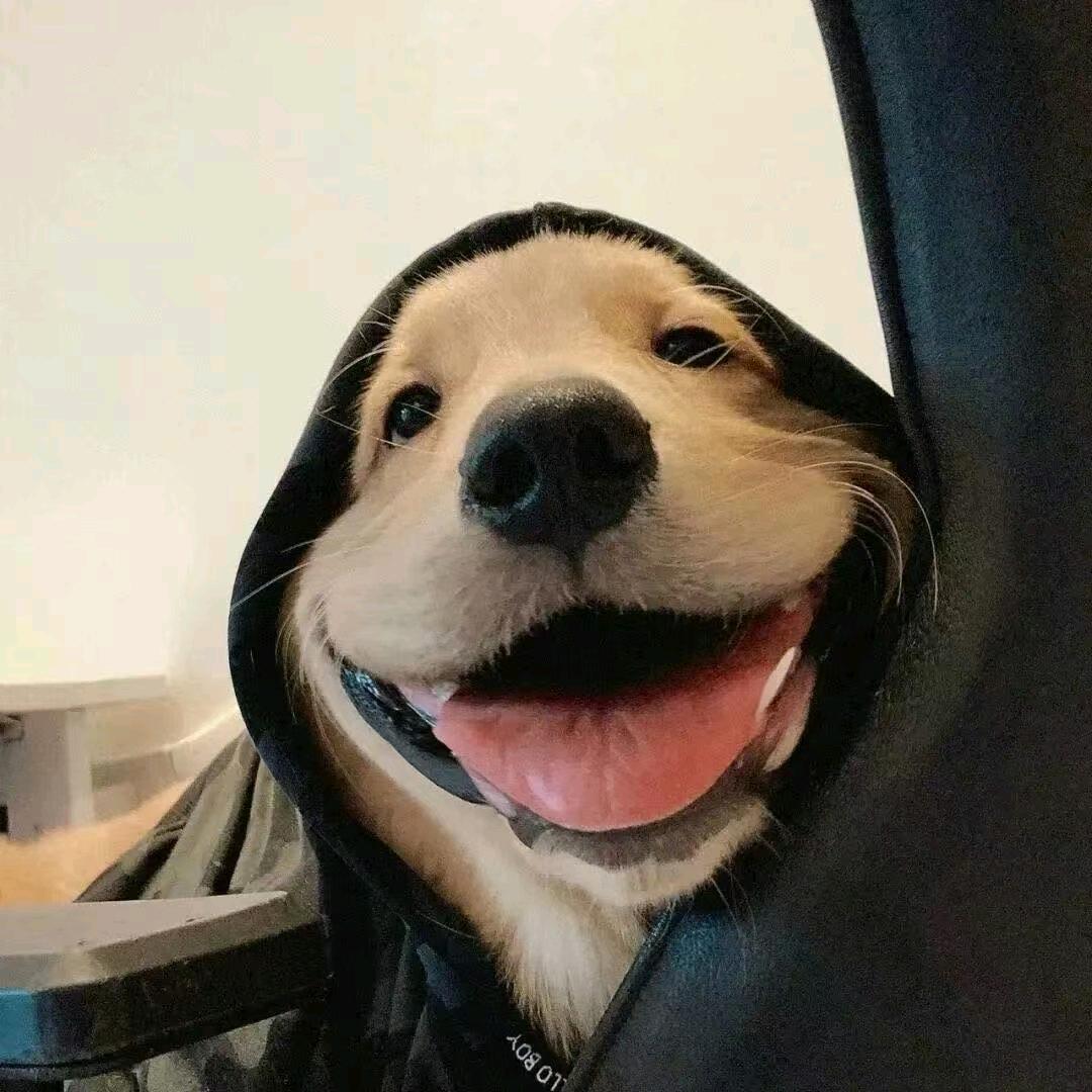 局外人(˵¯͒〰¯͒˵)