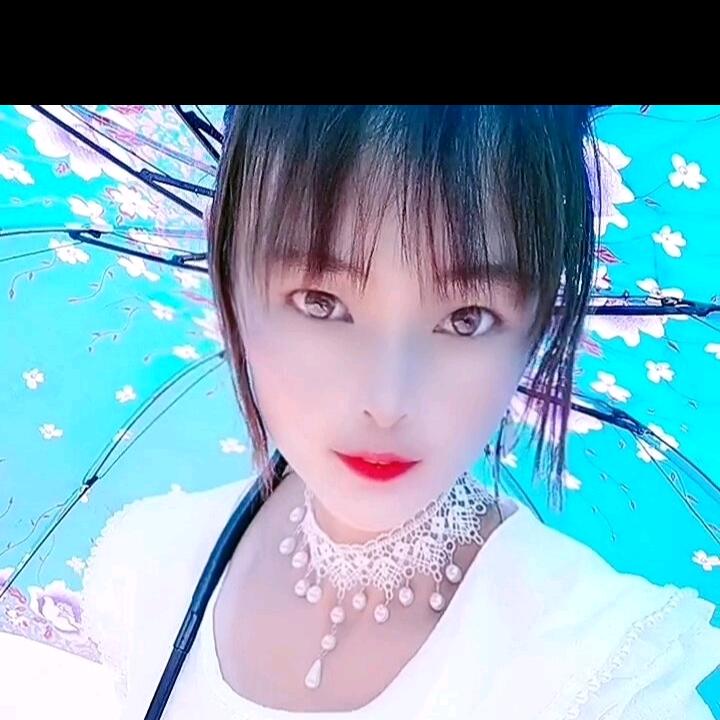 单身一人好自由