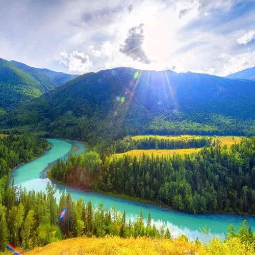 高考志愿周老师