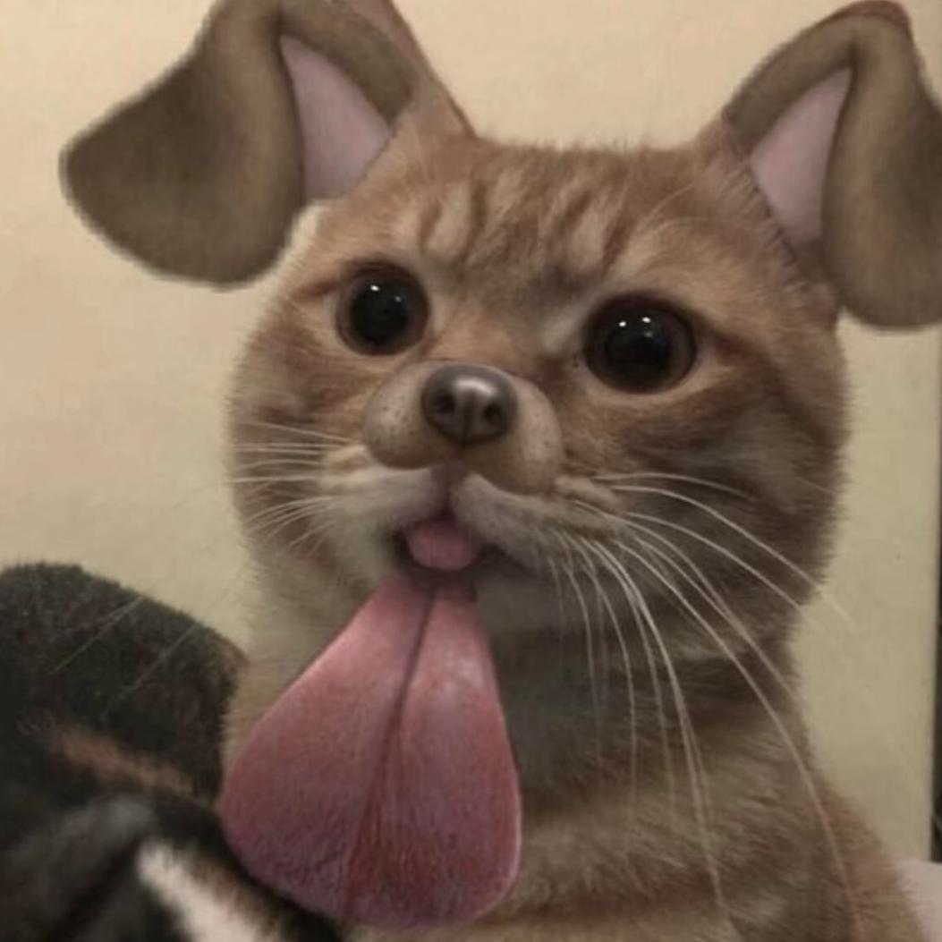 睡觉的时候我不困