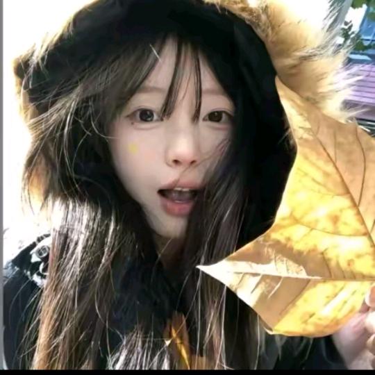 玄玄奶龙