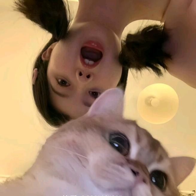 香菜杀手