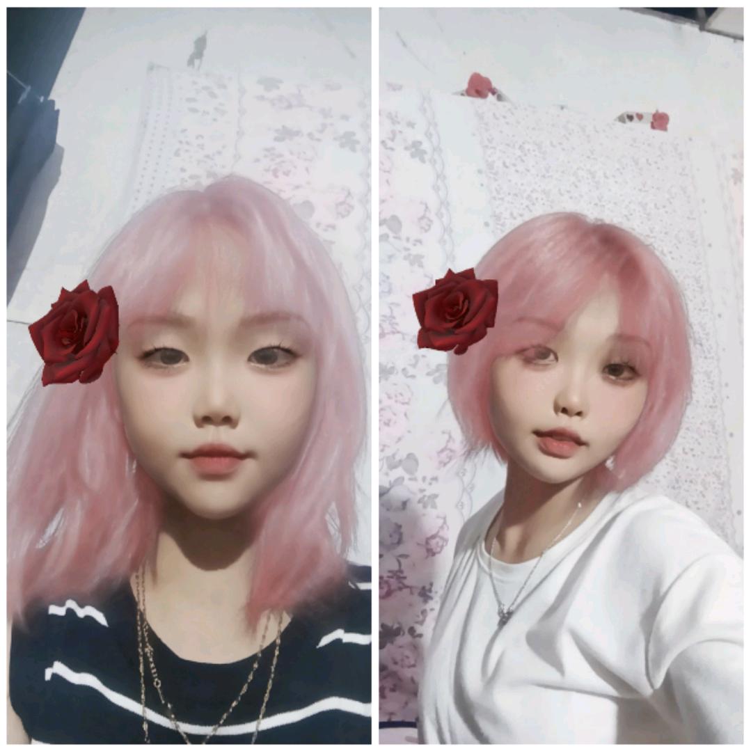 窦月芝