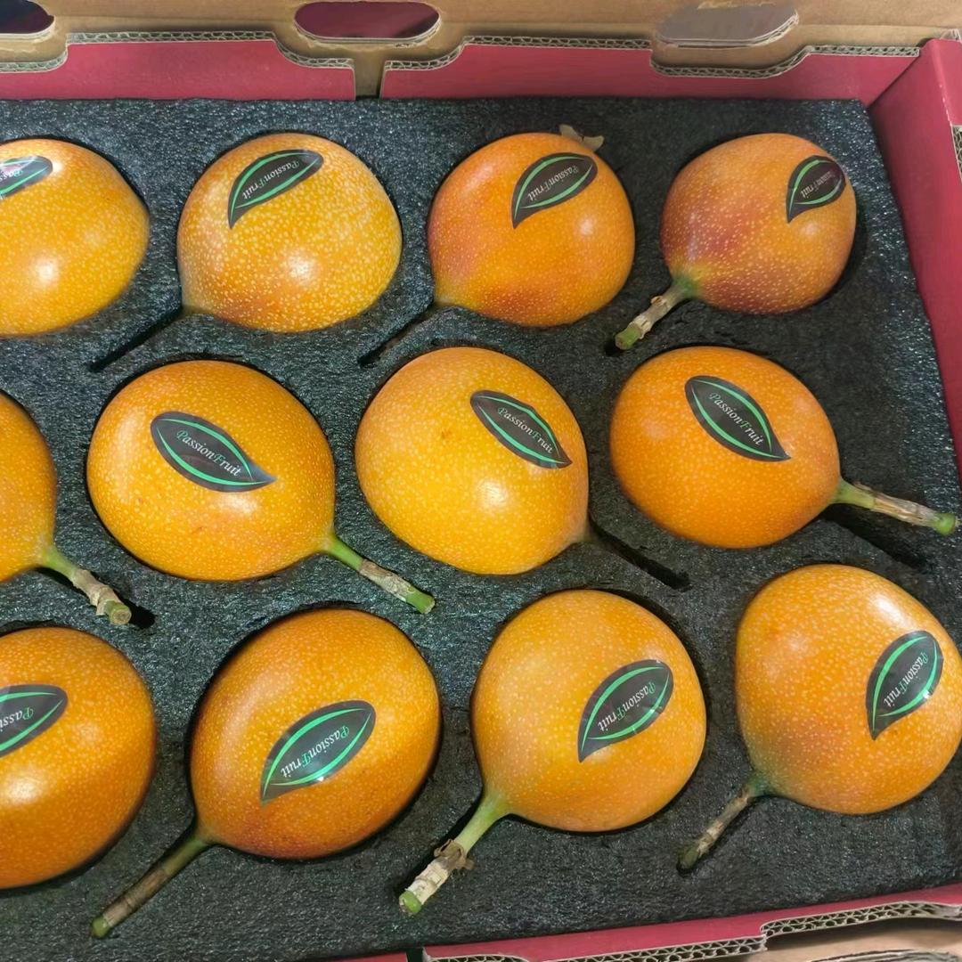 YXIN小周水果超市(城内新村店)